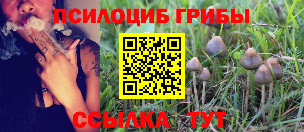Псилоцибиновые грибы Psilocybine cubensis Керчь